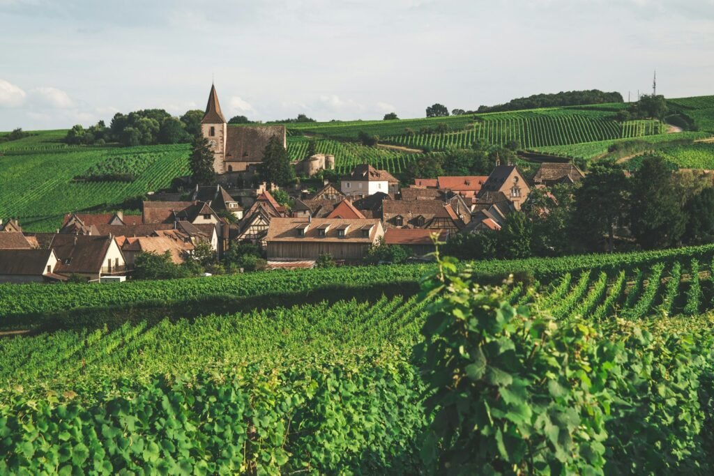 Village alsacien entouré de coteaux viticoles